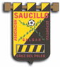 CD Saucillo 0